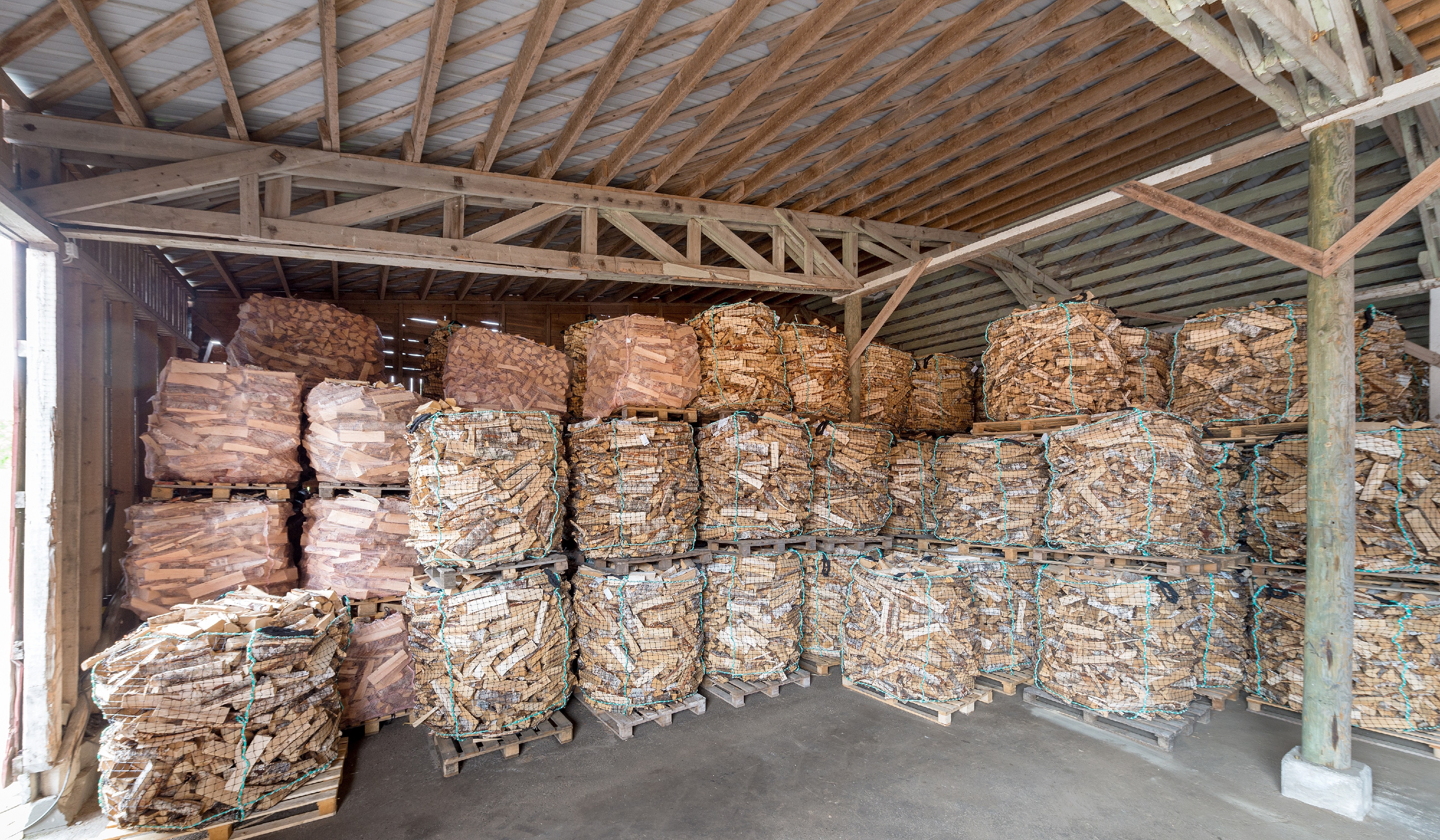 Birch-firewood-piles-2