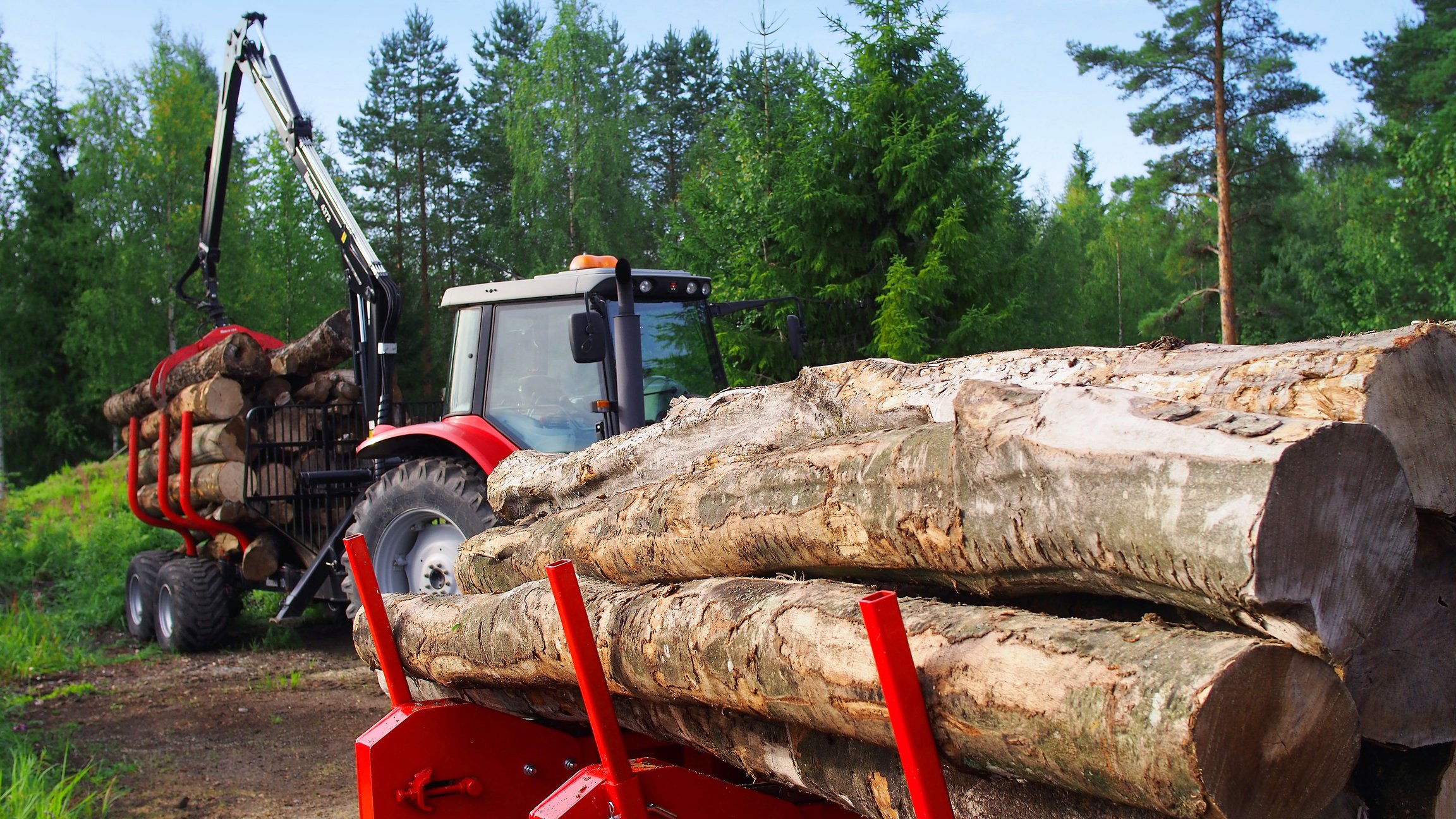 Moving logs in the forest.